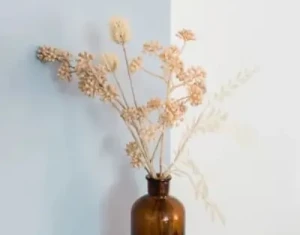 décorer un bien avec des vases, des coussins, des rideaux, c'est du home staging pour le vendre plus rapidement